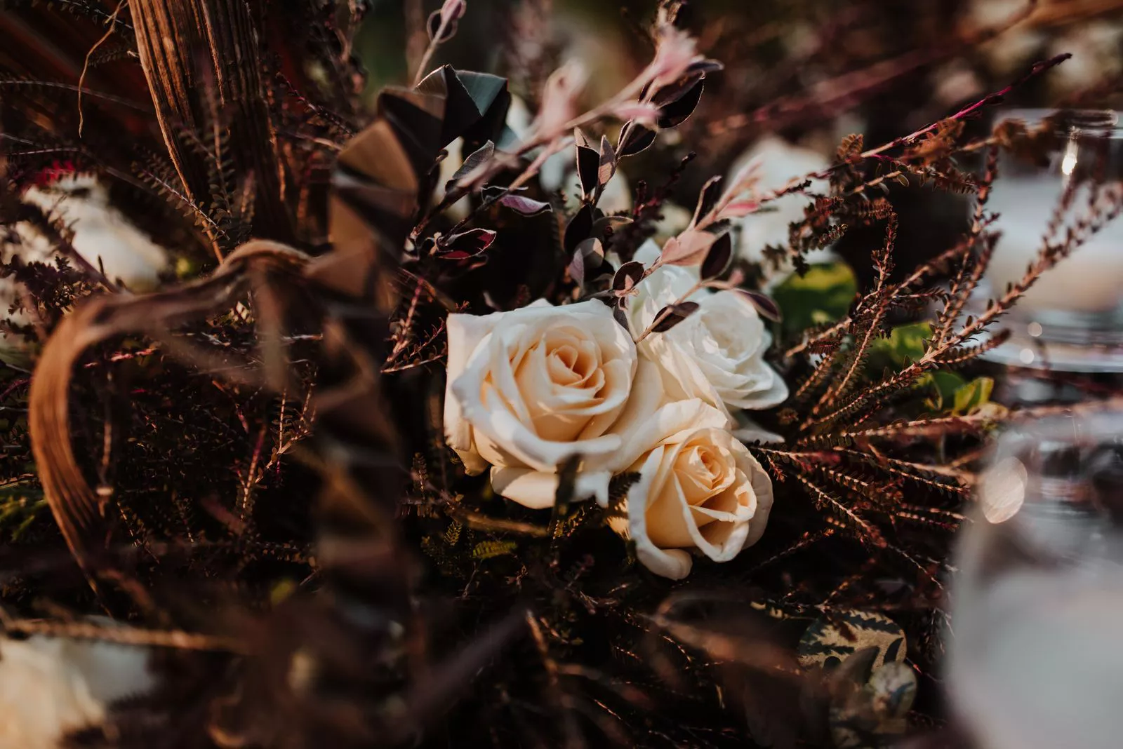Ivory Promise